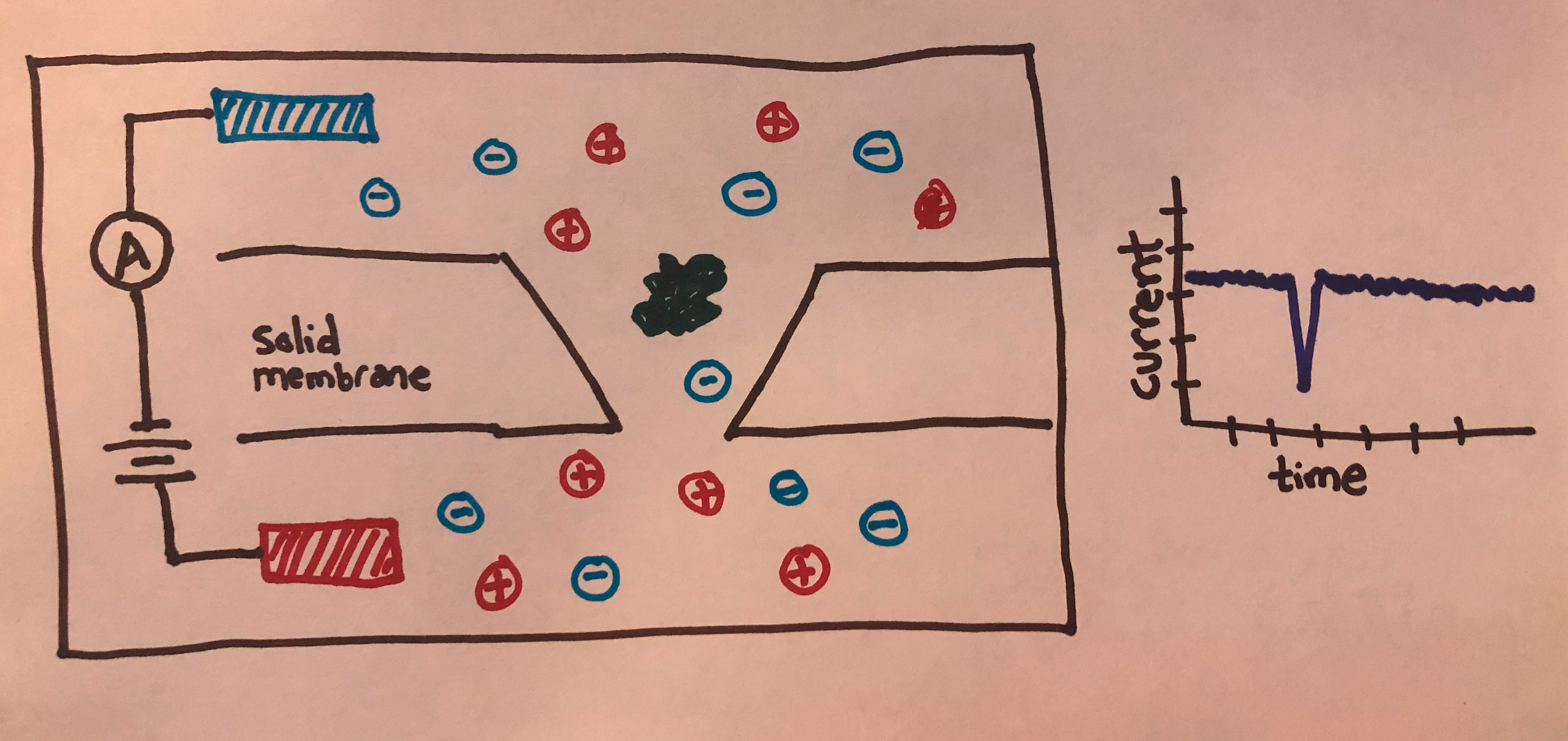 Nanopore sensing diagram