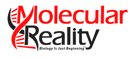 Molecular Reality