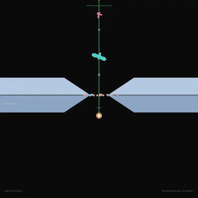 Schematic of a membrane with a pore whose gap narrows while coloured molecules move through it